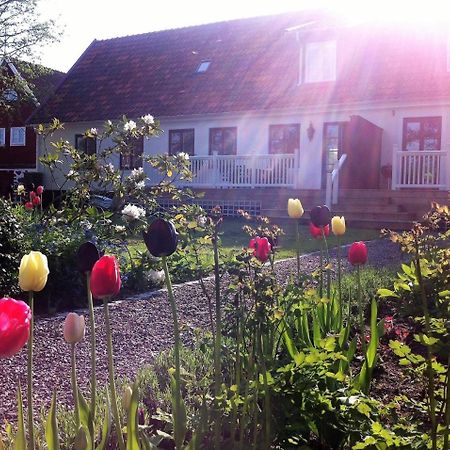 Svanebaecks Gard Villa Viken  Bagian luar foto