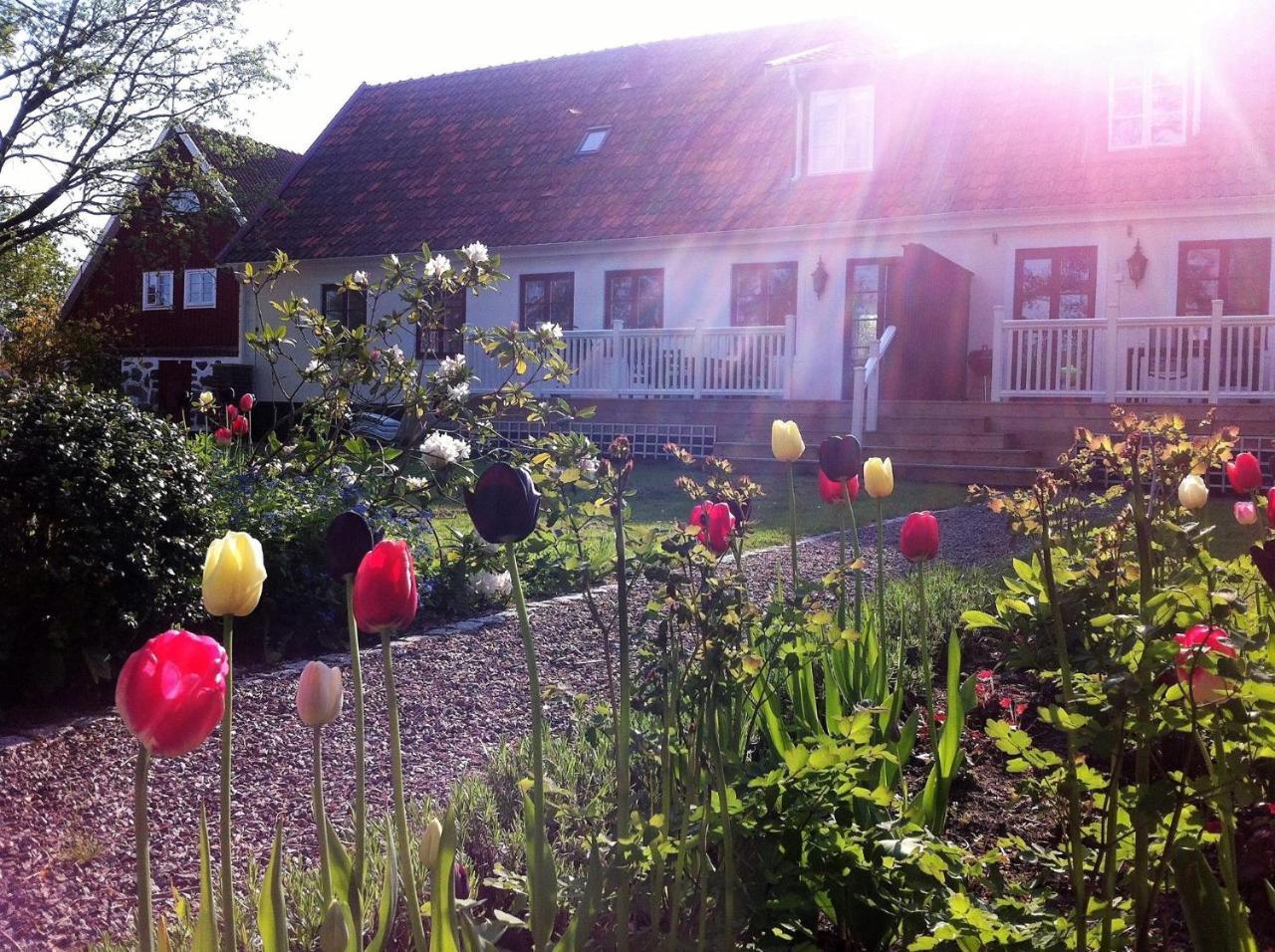 Svanebaecks Gard Villa Viken  Bagian luar foto